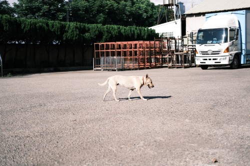 00EB05D0 5020 41E1 AE4B B6F76DB63DE2