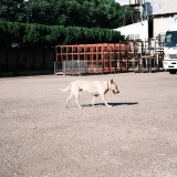 00EB05D0-5020-41E1-AE4B-B6F76DB63DE2