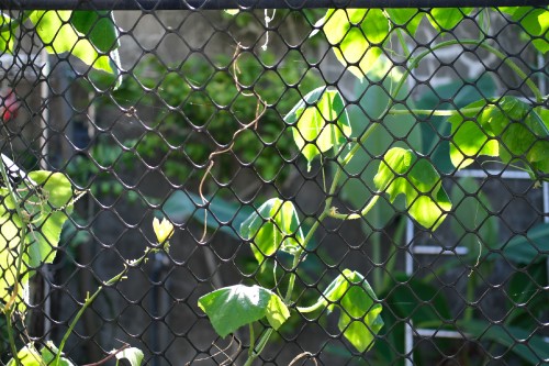 02EE4D30 F396 4D9D 9A04 9630D496991C