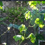 02EE4D30-F396-4D9D-9A04-9630D496991C