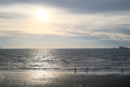 07B7874A 3C73 4985 A063 62DCEF50E3AB