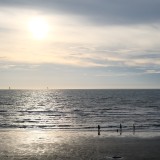 07B7874A-3C73-4985-A063-62DCEF50E3AB