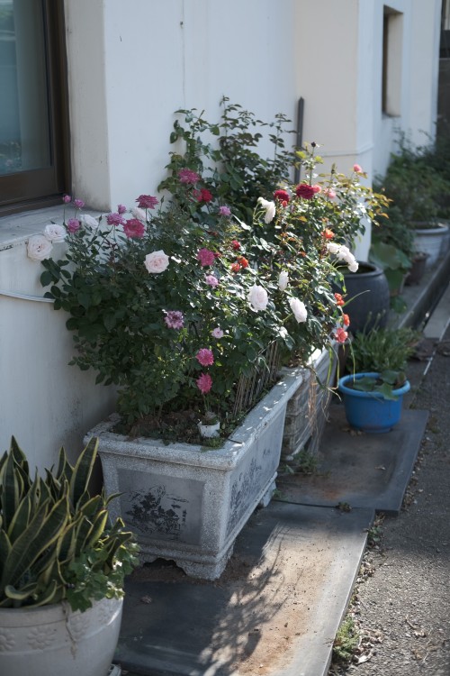 0BB07E6A 0D66 418A 99D6 AB781A8719E2