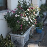 0BB07E6A-0D66-418A-99D6-AB781A8719E2