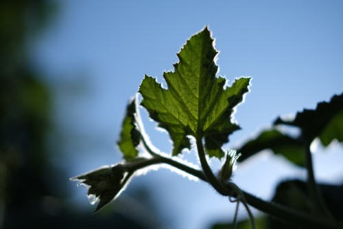 14D7BF9E 1E37 49AB B815 32CD4F695C2E