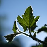 14D7BF9E-1E37-49AB-B815-32CD4F695C2E