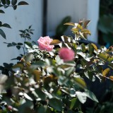 1834AFCA-FAC2-48D2-B145-E328065EC06A