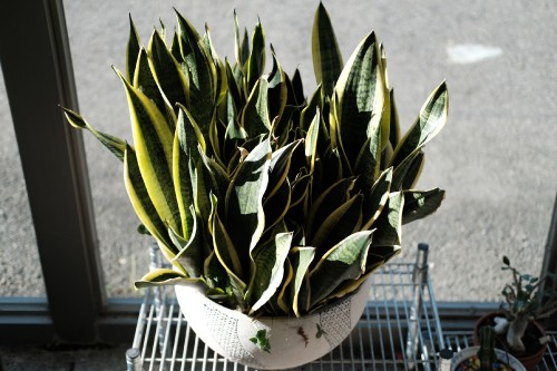 28EDE56A 321A 4D6B 89B6 8F78B795FEC6