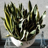 28EDE56A-321A-4D6B-89B6-8F78B795FEC6