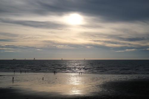 2F1EC48F 404F 4166 9144 DD075C6CCB39