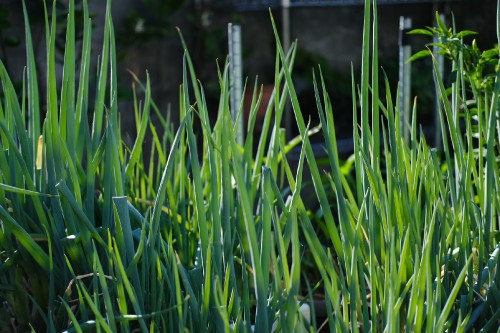 5CDE34A9 77DF 4DA2 84EC 825526E42423