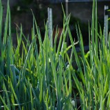 5CDE34A9-77DF-4DA2-84EC-825526E42423