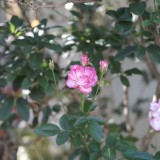 68E37E44-11C3-4645-8846-313BEEDF28A0