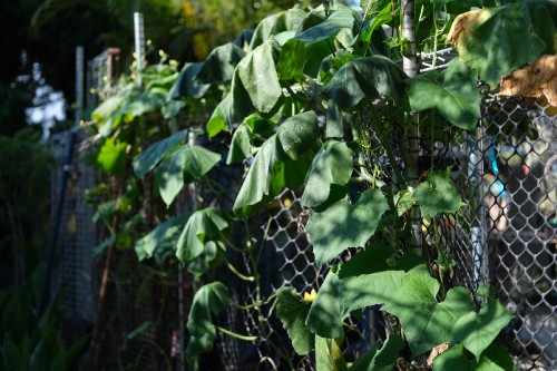 7E75E84F 6274 46D0 B215 6D5A11943555