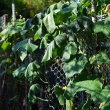 7E75E84F-6274-46D0-B215-6D5A11943555