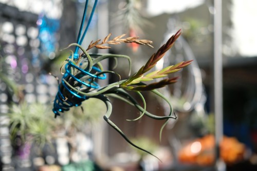 804C4B06 FA2B 4096 9AB8 096BE337F660