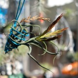 804C4B06-FA2B-4096-9AB8-096BE337F660