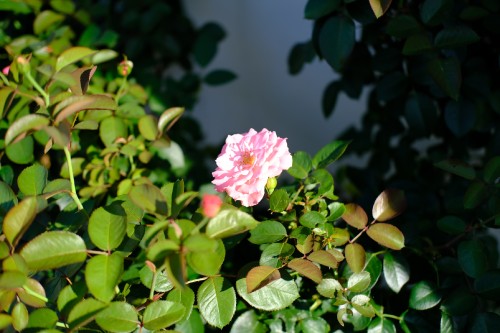 830B1F54 7FB9 441A 9905 0EFCA7B80F5B