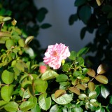 830B1F54-7FB9-441A-9905-0EFCA7B80F5B