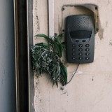 8D700DC8-212D-4FF0-9FE0-A3A4C2B9039A