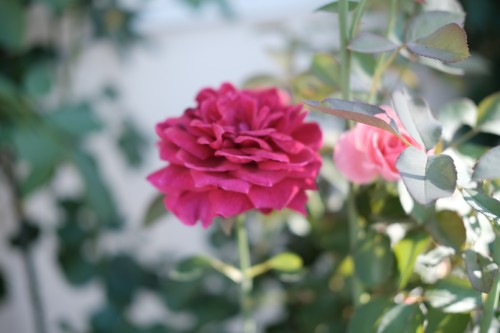 9E748599 931C 49AD 8C73 0EC86867147B