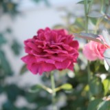 9E748599-931C-49AD-8C73-0EC86867147B