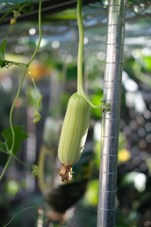 A86768FF 6604 4941 9B48 C3E4322F8561