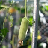 A86768FF-6604-4941-9B48-C3E4322F8561