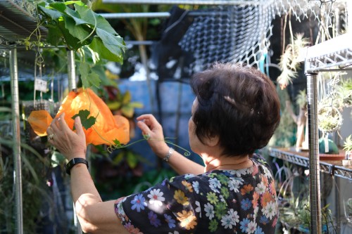 B444E474 8CE7 475B B95F E7050B12B36E