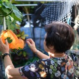 B444E474-8CE7-475B-B95F-E7050B12B36E