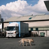 C7A54633-11E6-467A-8584-ADF9DADAF775