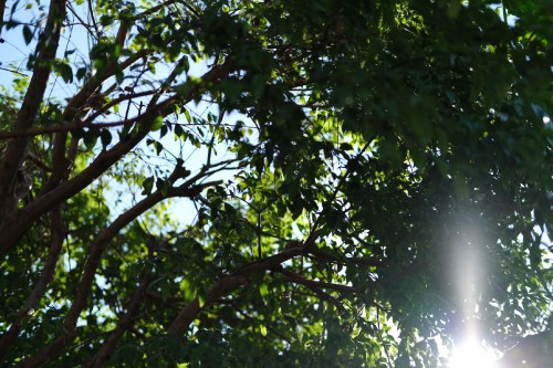 C8B47EB3 AFE7 40B9 B5B8 699EF02307EA