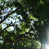 C8B47EB3-AFE7-40B9-B5B8-699EF02307EA