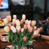 F067D436-DF62-42F1-A536-1D0167FFFC78