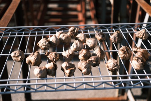 F5794F3D DB9A 49F2 9DA4 38198979C6B5