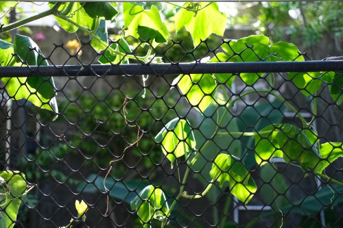 F5DB9E61 59FE 4B5E BB93 A50DECCEFAB5