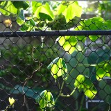 F5DB9E61-59FE-4B5E-BB93-A50DECCEFAB5