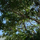 F683865B-DDED-421F-B338-BC6674ACF6C2