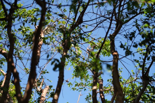 F9C14434 F16C 4468 A72D 04F83E014F95