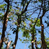 F9C14434-F16C-4468-A72D-04F83E014F95