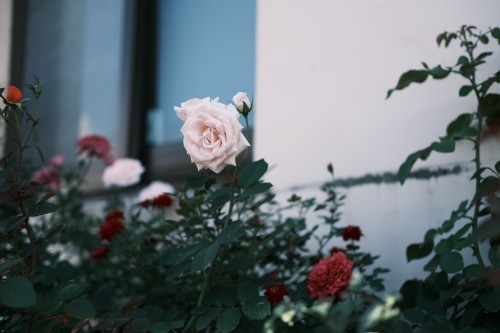 FE7754EA A897 42F7 83C9 61A20B8F3A2C