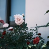 FE7754EA-A897-42F7-83C9-61A20B8F3A2C